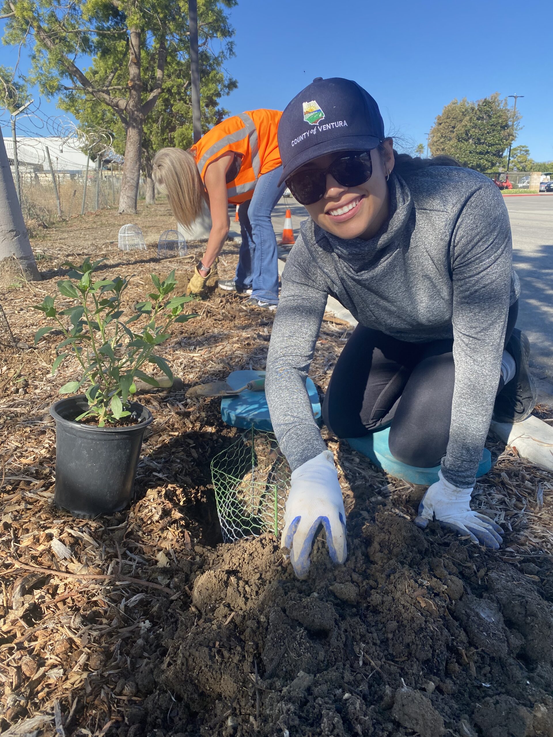 Sustainability staff planting pollinator plants with the Ventura County Resource Conservation District.